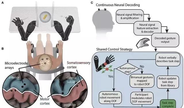 饭来张口成真:用脑机接口操纵机械臂吃蛋糕 | 约翰霍普金斯大学
