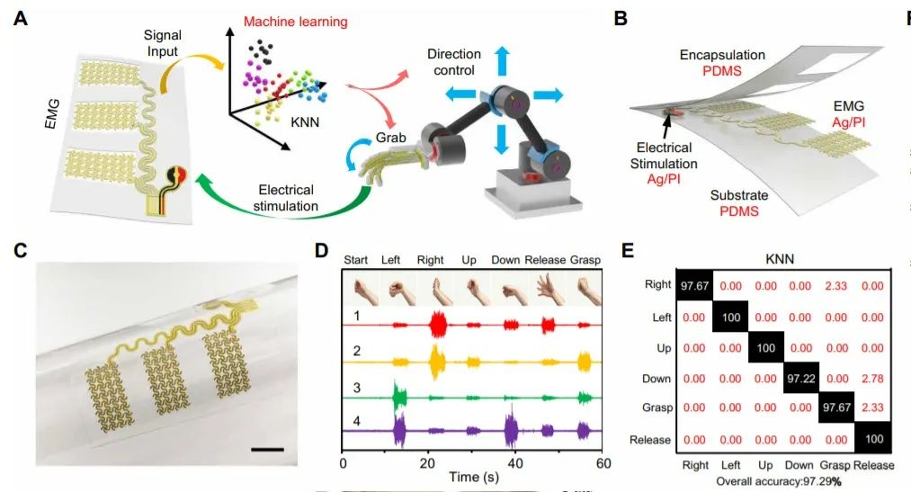 Science Robotics封面:加州理工团队用电子皮肤控制机械臂,还能赋予多模式感知!