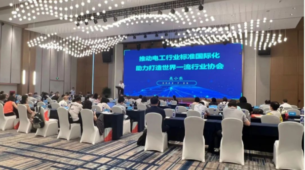 电科集团当值总裁、国际电工委员会IEC/TC125主席吴小东当选中国电器工业协会标准化工作委员会理事长