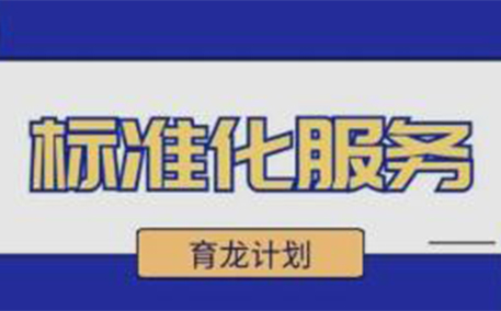 微软、谷歌等一众响誉全球的企业都热衷于这件事