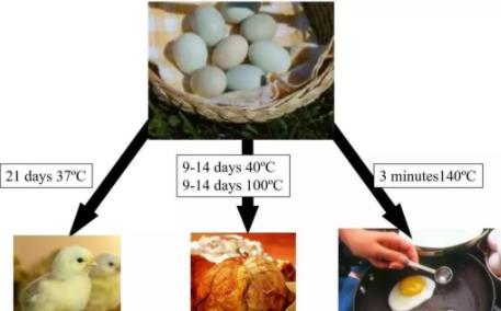 寿命加速之阿伦尼乌斯模型