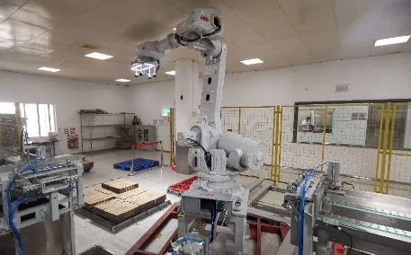 解锁一款解放人类双手的智能上箱机器人工作站!